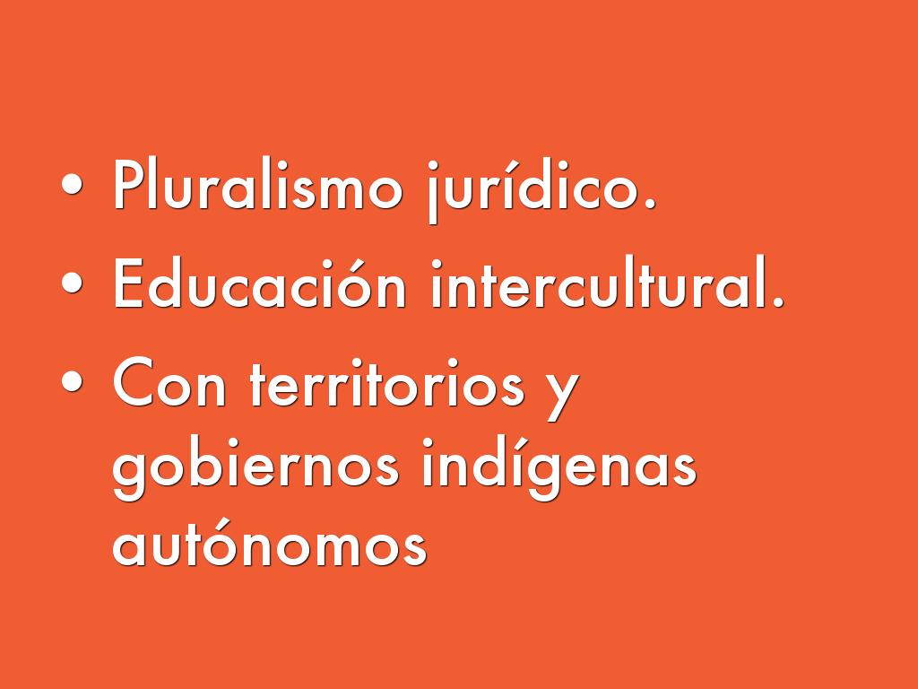 Estado Plurinacional by Ollantay Itzamná
