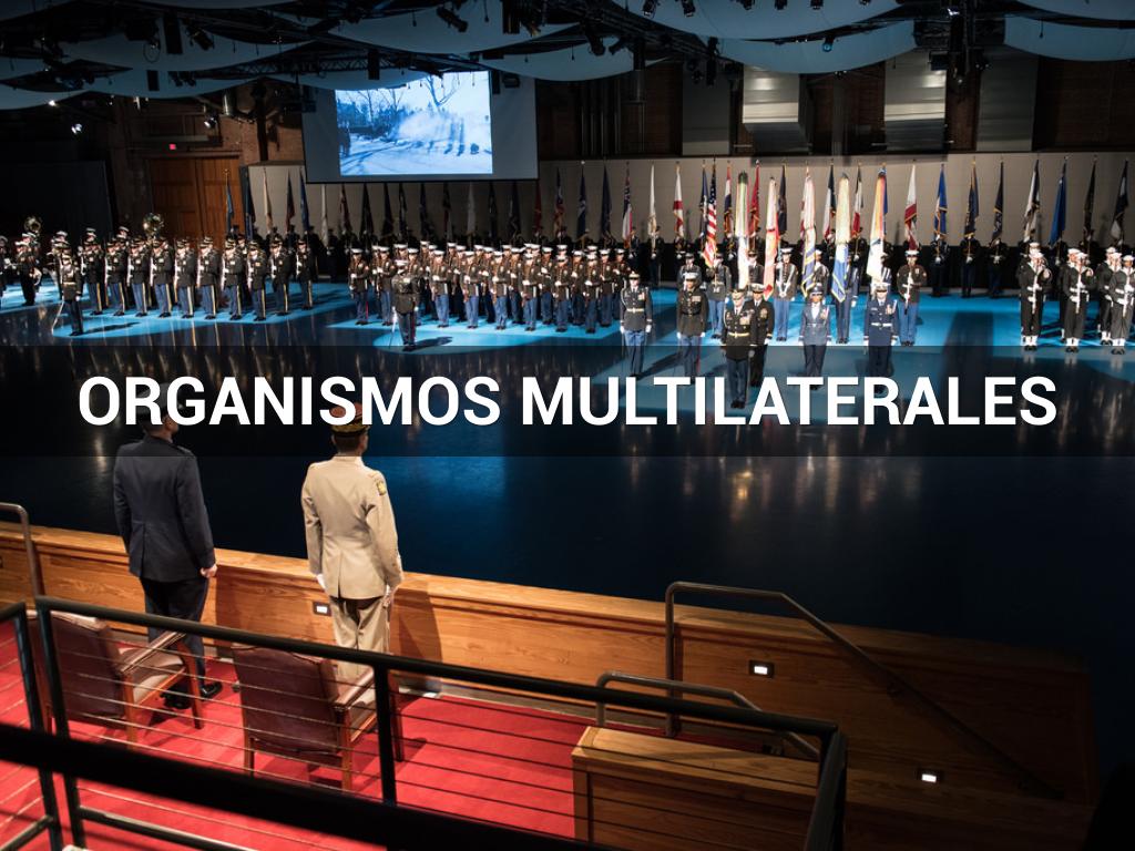 ORGANISMOS MULTILATERALES