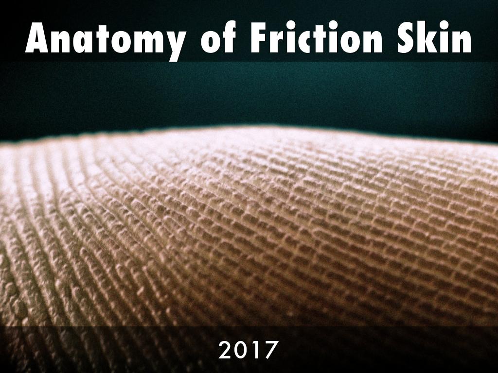Anatomy of Friction Skin by shlautzenheiser