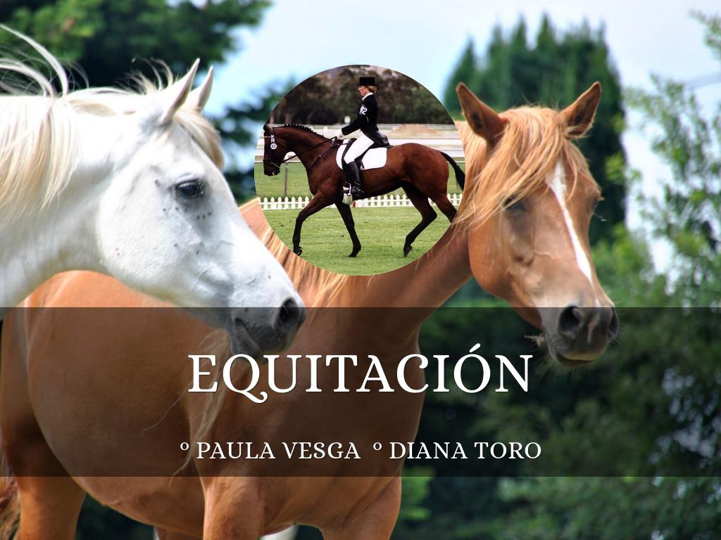EQUITACIÓN