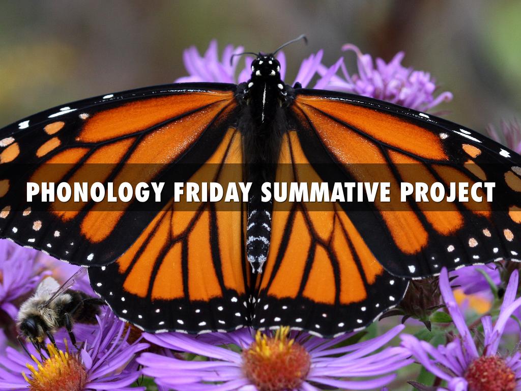 Phenology Friday Pictures 