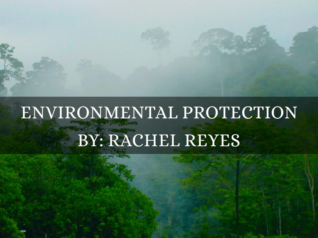 30 Slides Presentation 