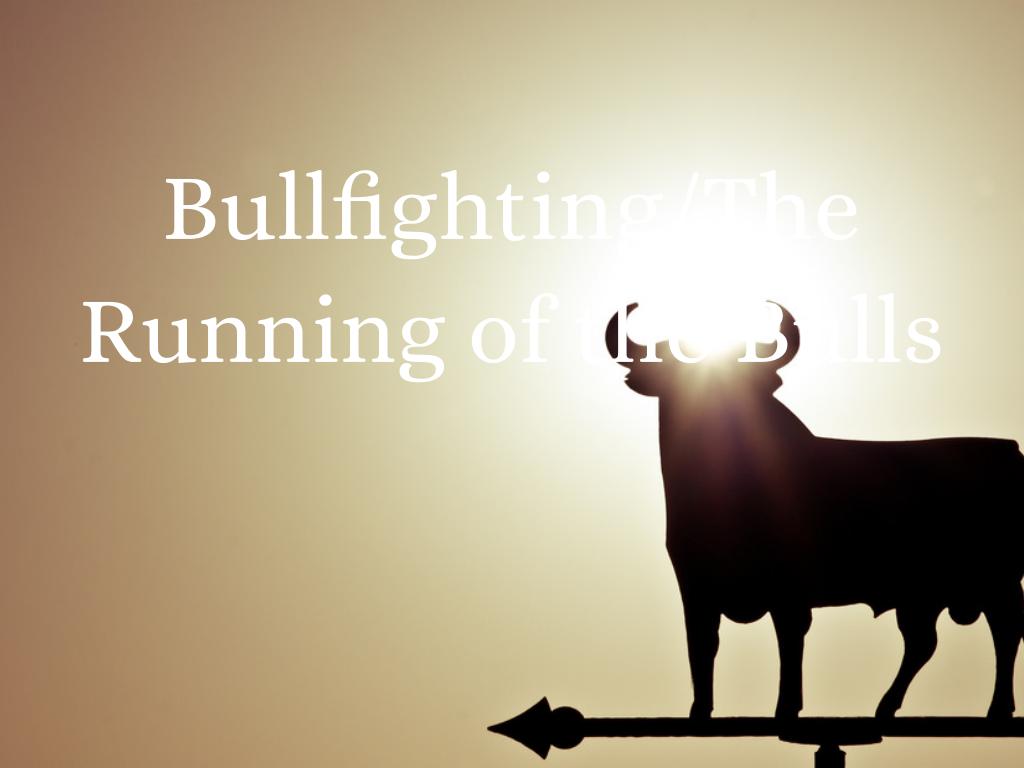 Bull Fighting 
