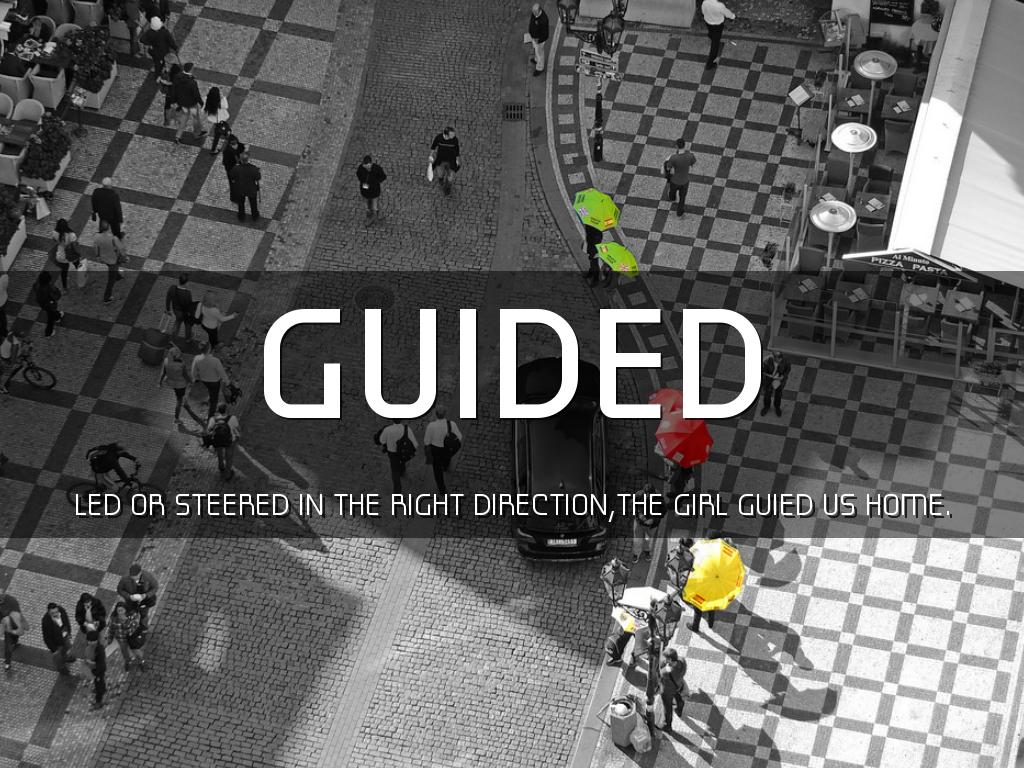 Dog Of The Sea Waves