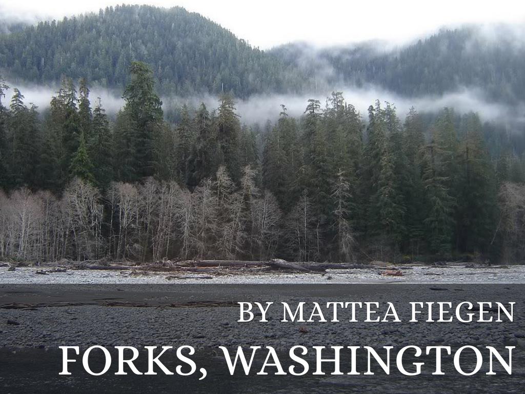 Forks, Washington by Mattea Fiegen