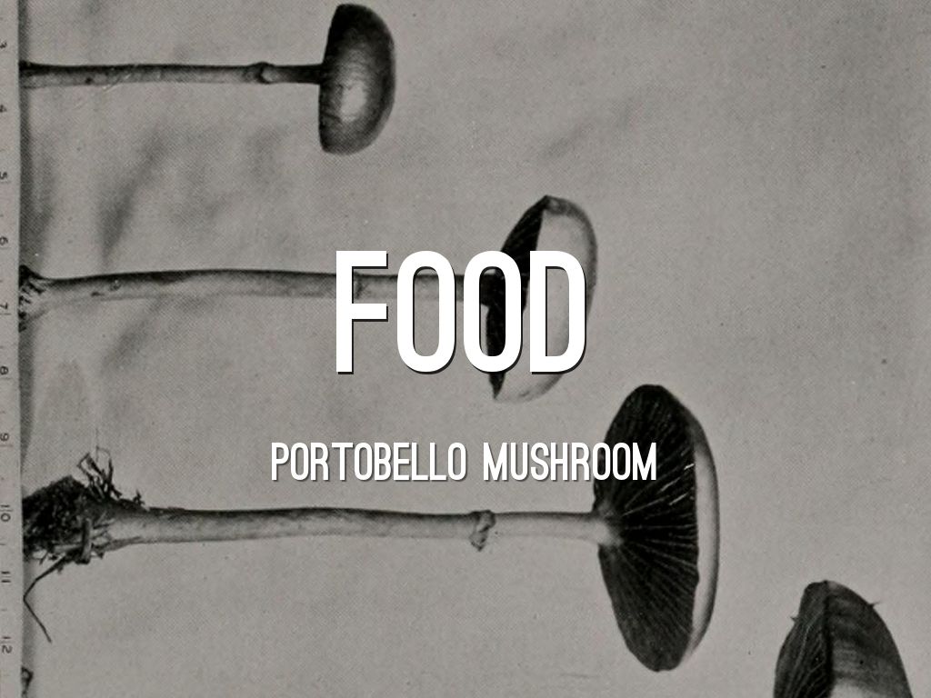 Portobello Mushroom by JesseLiao