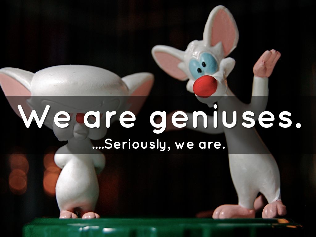 We are geniuses.