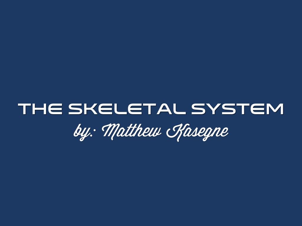 The Skeletal System