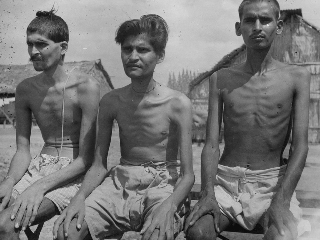 Starvation by lopsidedgamer