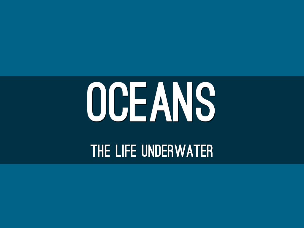 ocean-ecosystem-by-riley-minteer