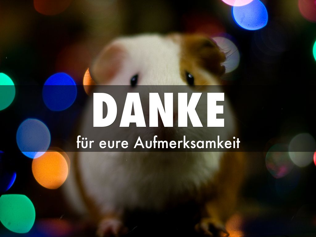 gesunde fettquellen