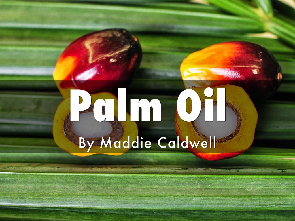 Presentations And Templates By Maddie Caldwell