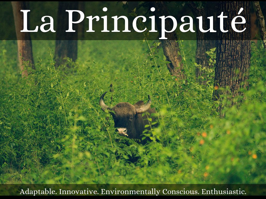 La Principauté