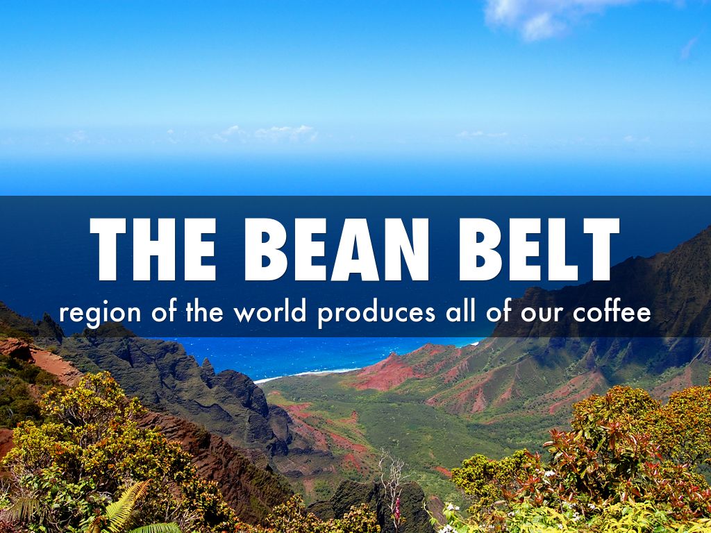 6 Little Known Facts About Coffee by Dan Linstroth