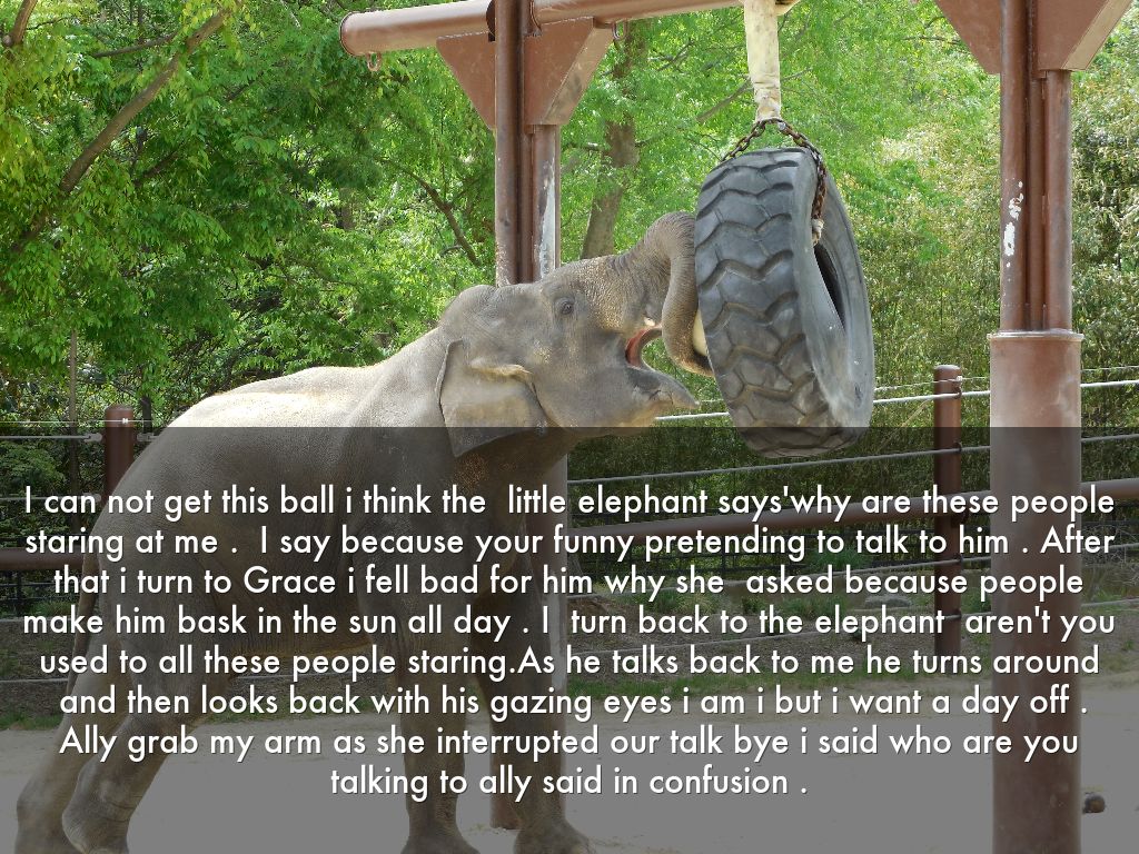 Sarah zoo