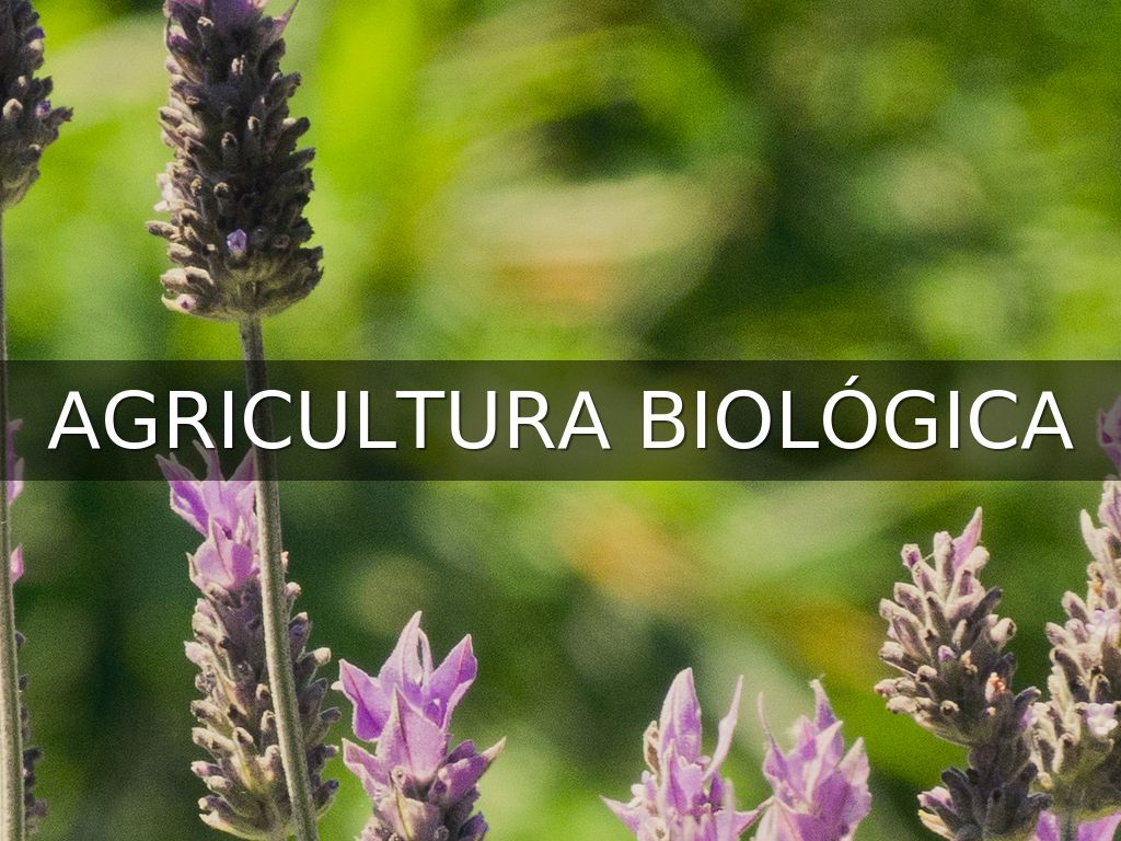 AGRICULTURA BIOLÓGICA