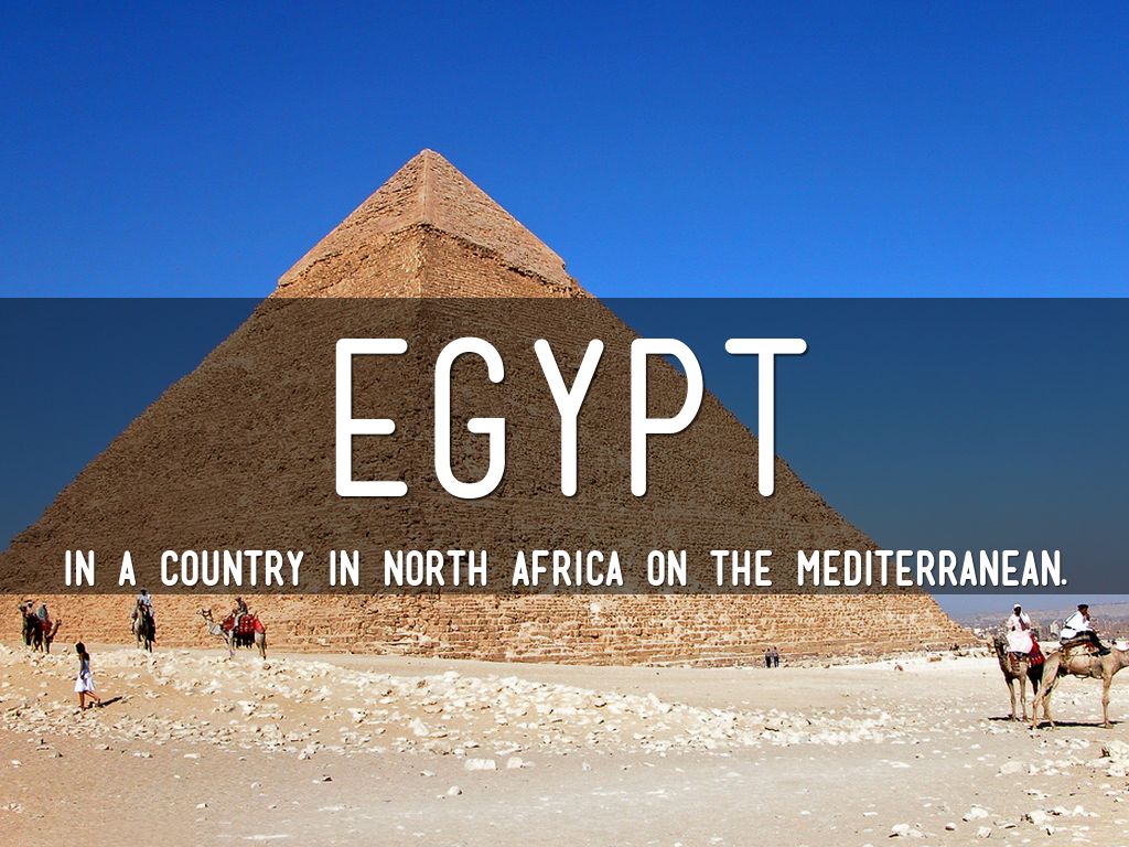 Chapter 1 Vocabulary 