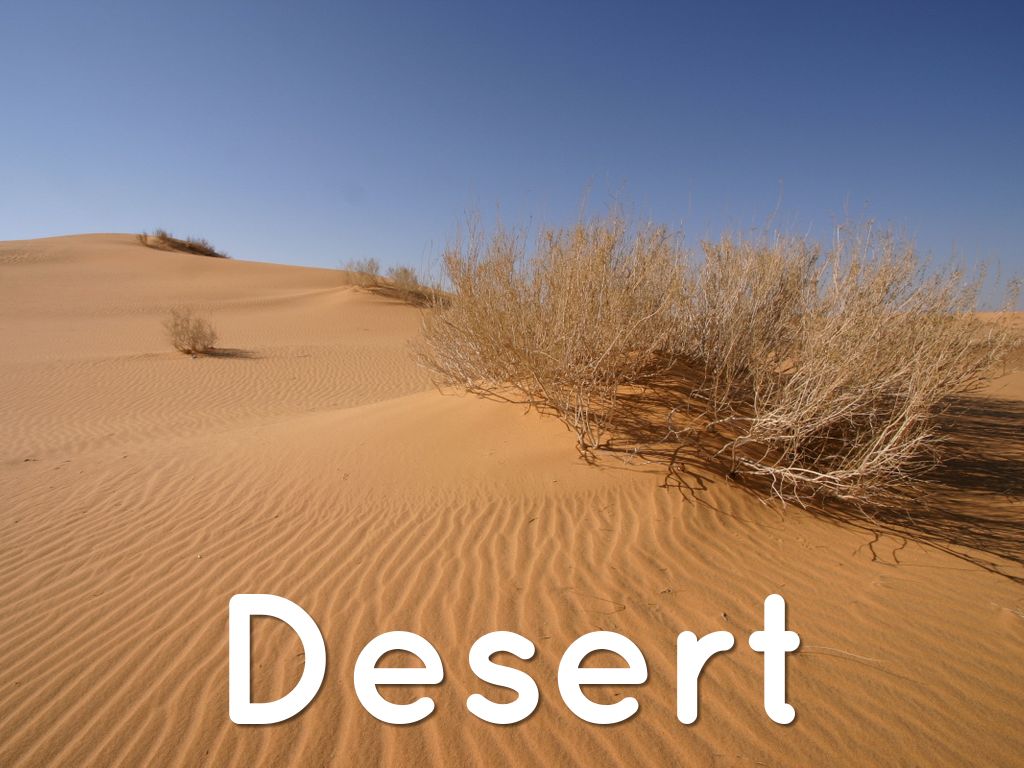 Understanding Region: Africa