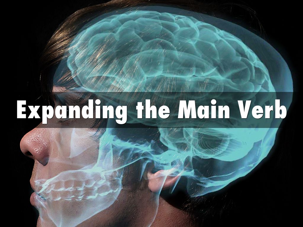 Expanding the Main Verb by dmoore