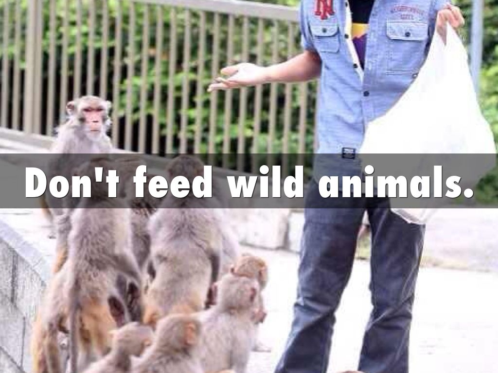 Protecting our country parks by Ying Ka Chan