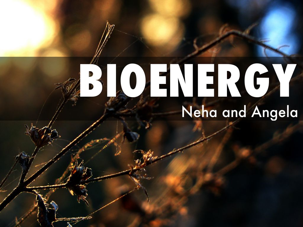 Bioenergy