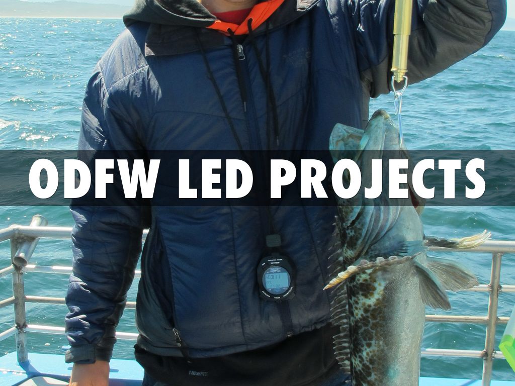 ODFW Led Projects