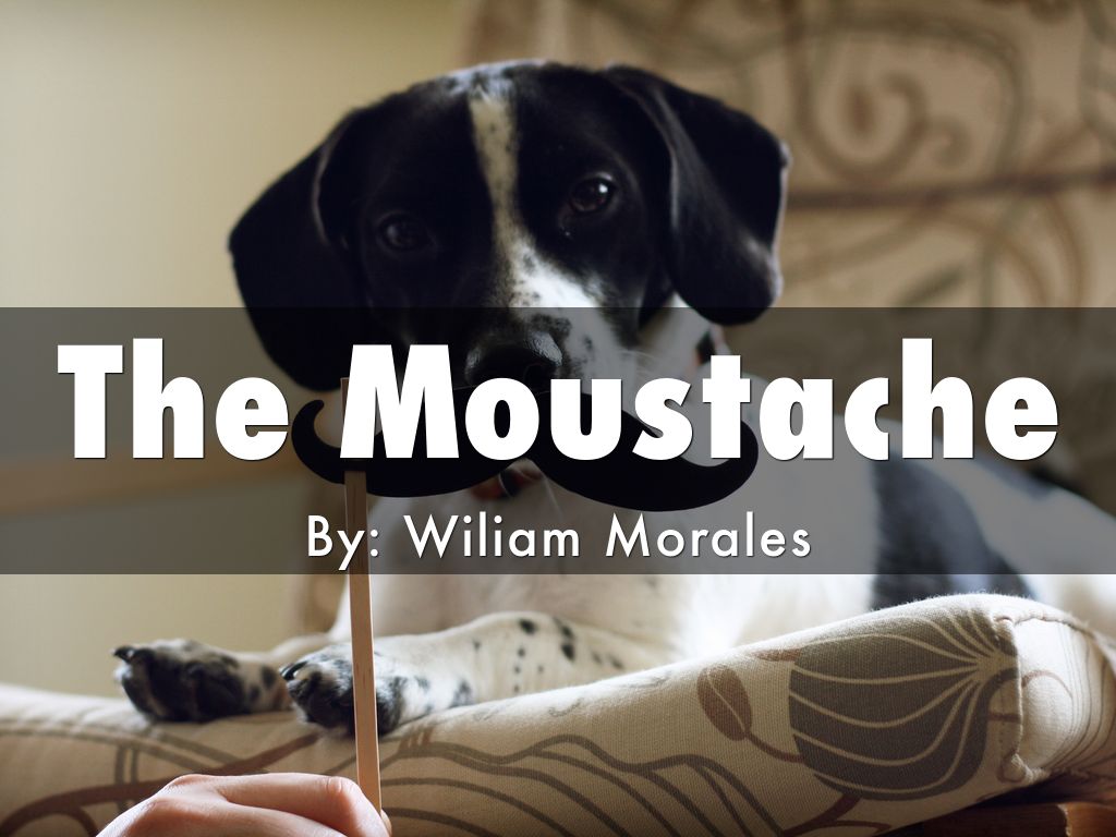 The Moustache  Plot