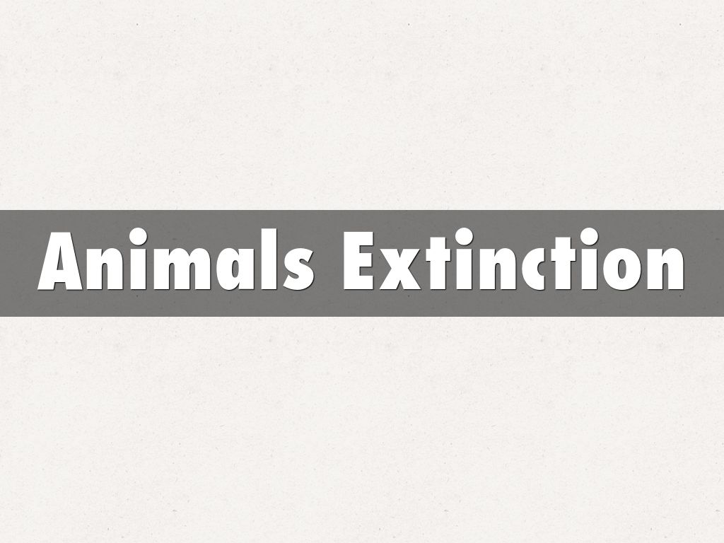 Animals Extinction