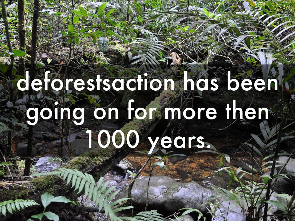 Deforeststaction by Diana Byriel