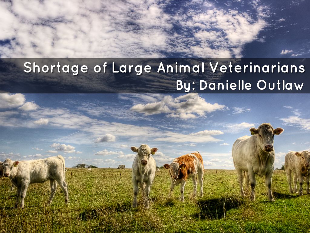 Shortage of Large Animal Veterinarians by doutlaw6