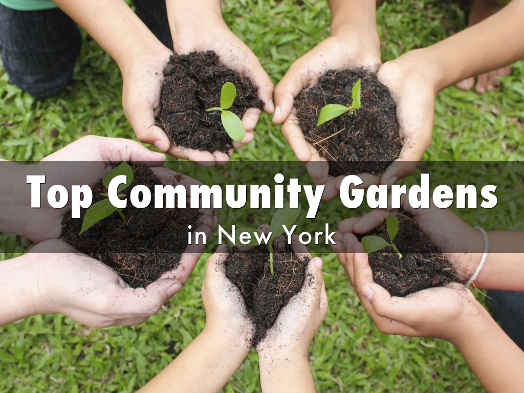 Top Community Gardens