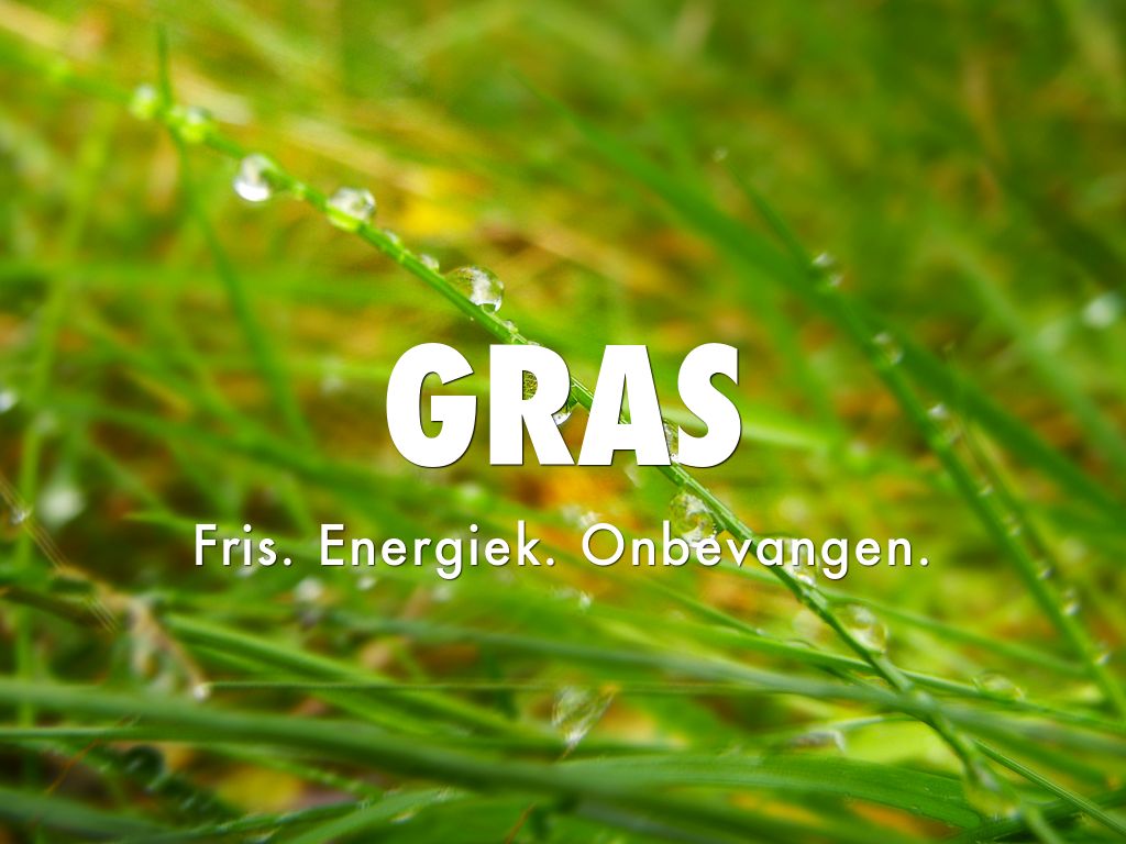 GRAS by info