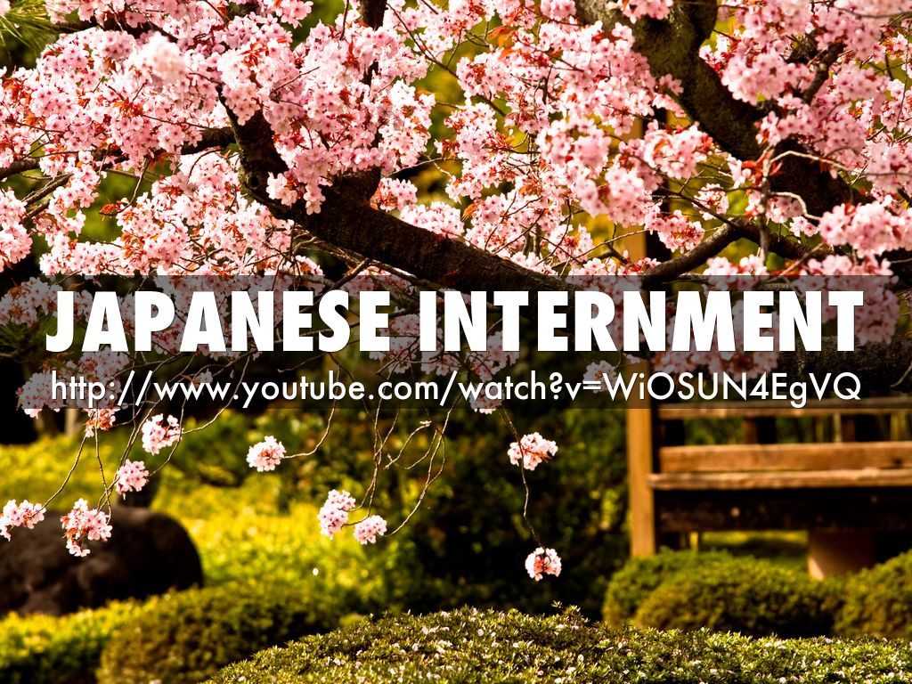 Japanese Internment