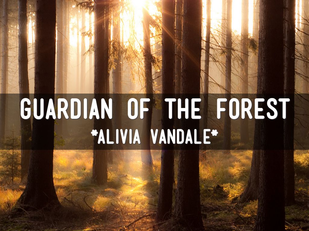 Guardian of the Forest