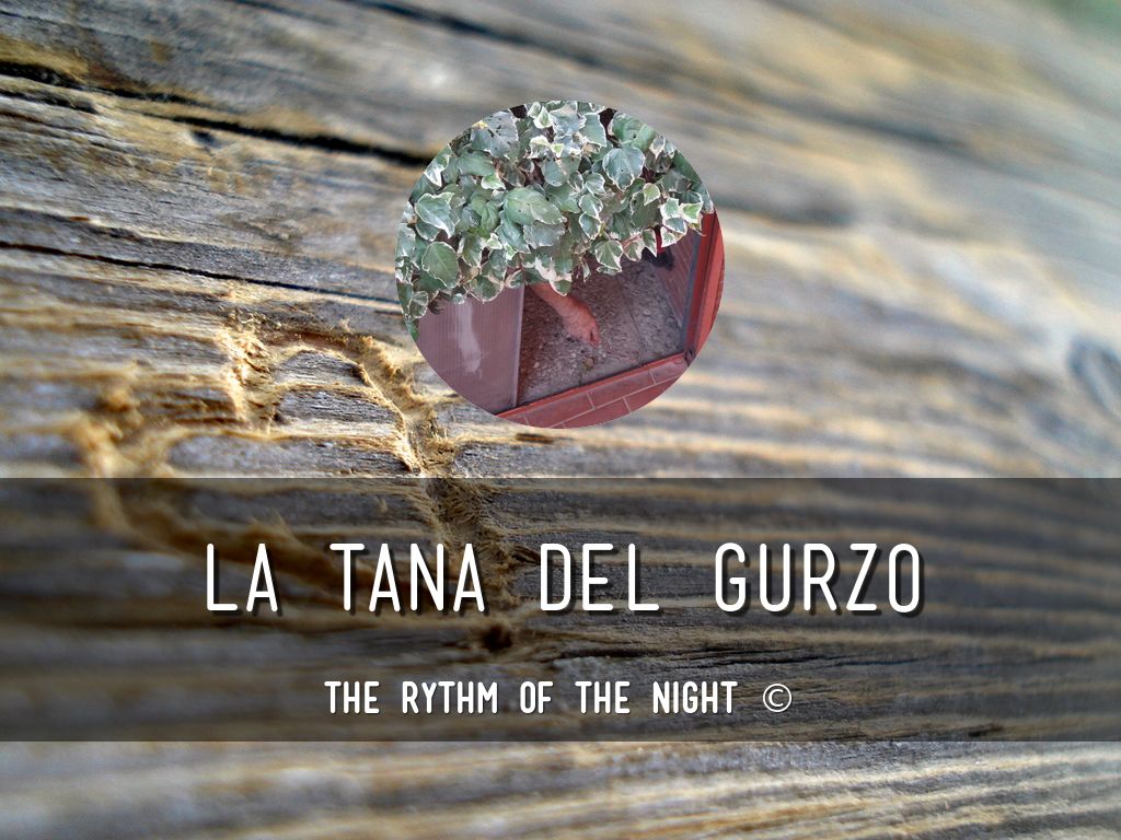 LA TANA DEL GURZO