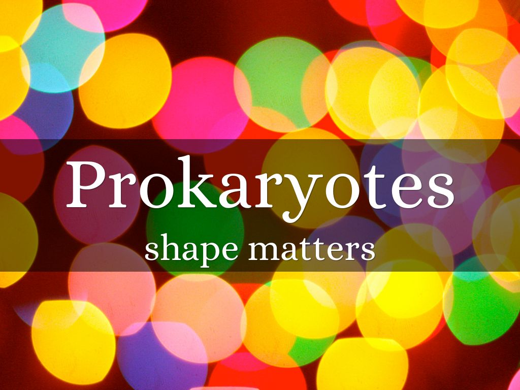 Prokaryotes