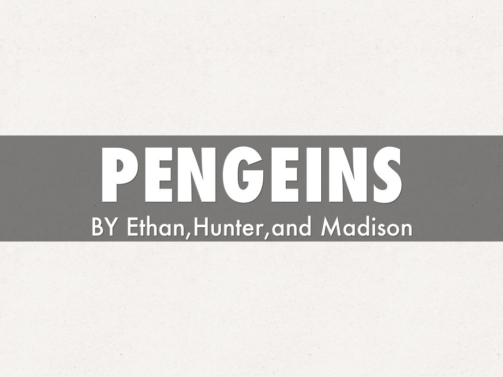 PENGEINS