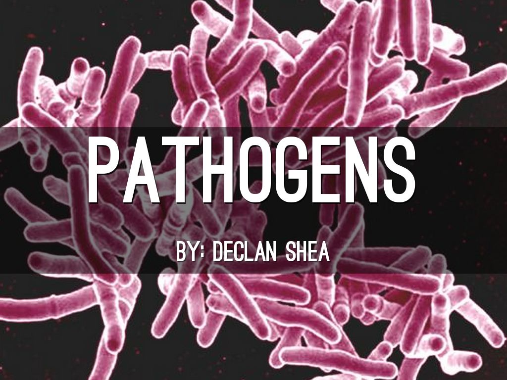 pathogens