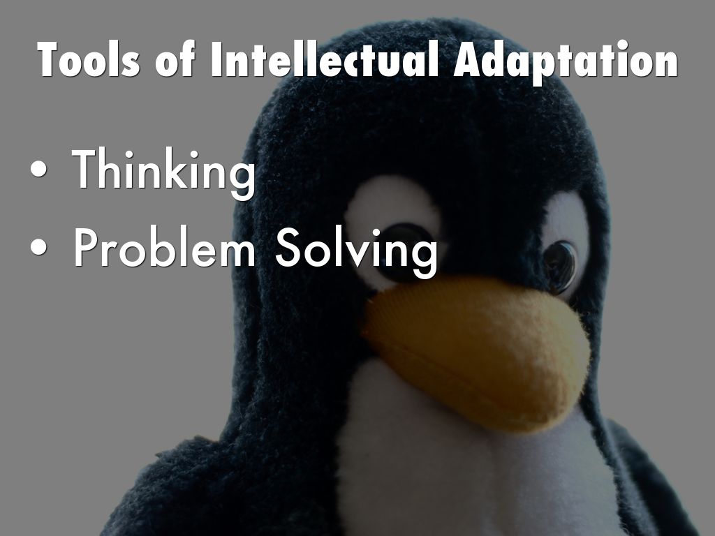 Vygotsky's sociocultural theory 1978 picture