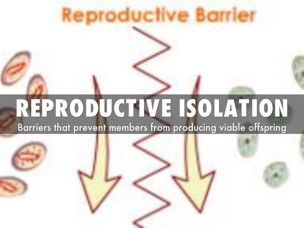 Words about by joe.hassell