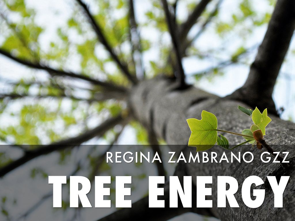 Tree Energy by Parkway Library