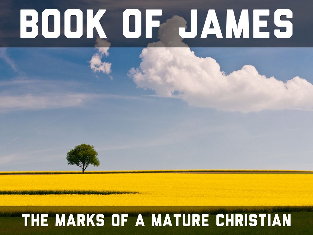 Book of JAMES (3)