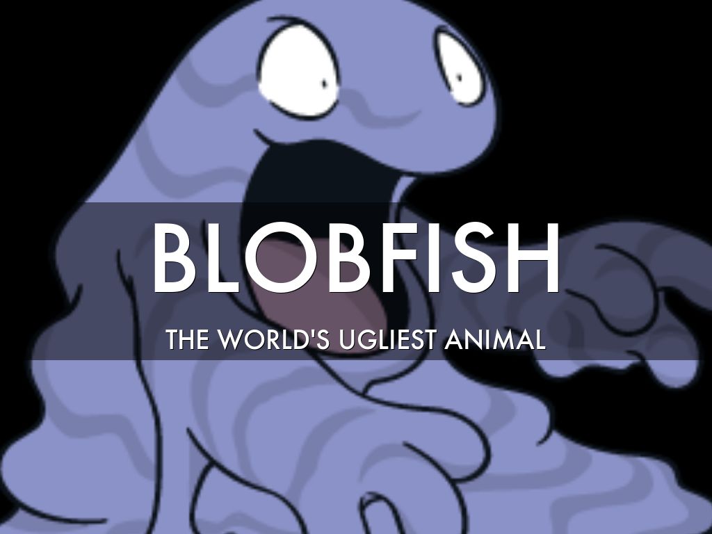 BLOBFISH