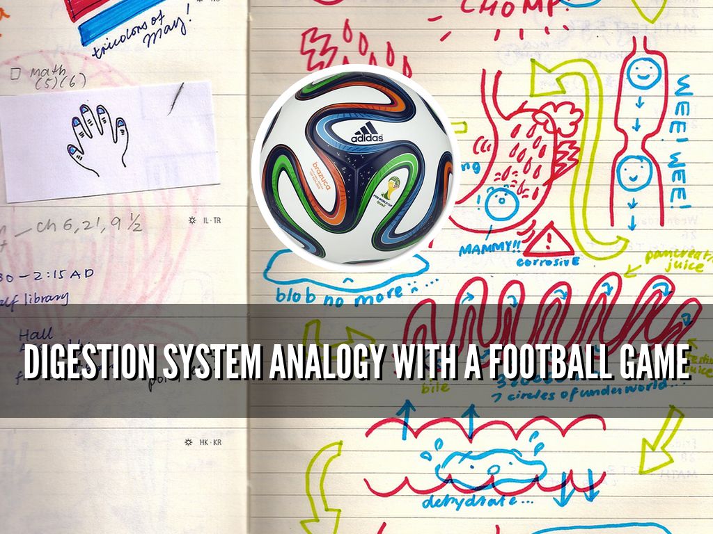 Digestion System Analogy with a Football game