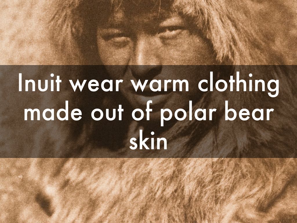 Inuit wear warm clothing made out of polar bear skin