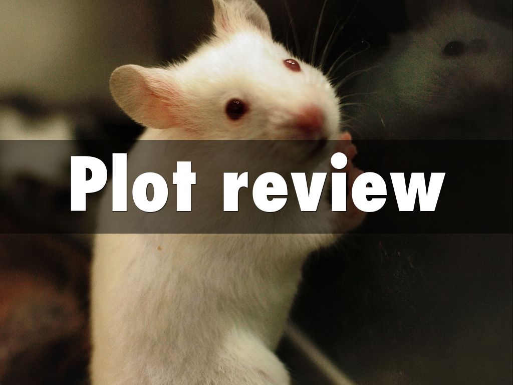 Flowers for Algernon by janzilla_