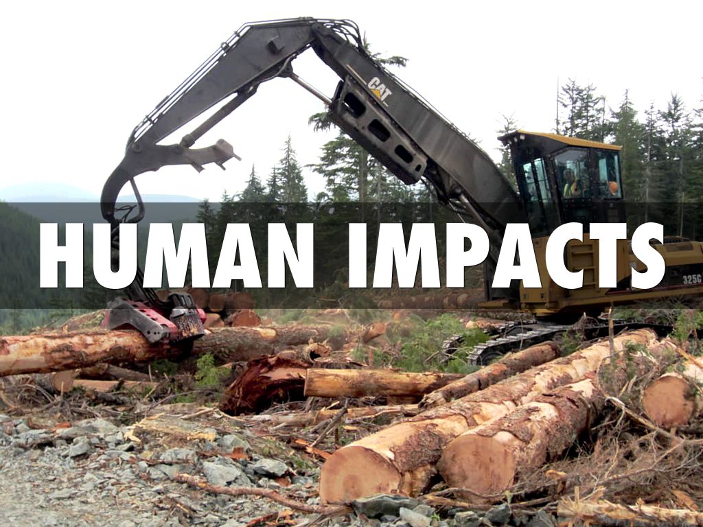 Human Impacts