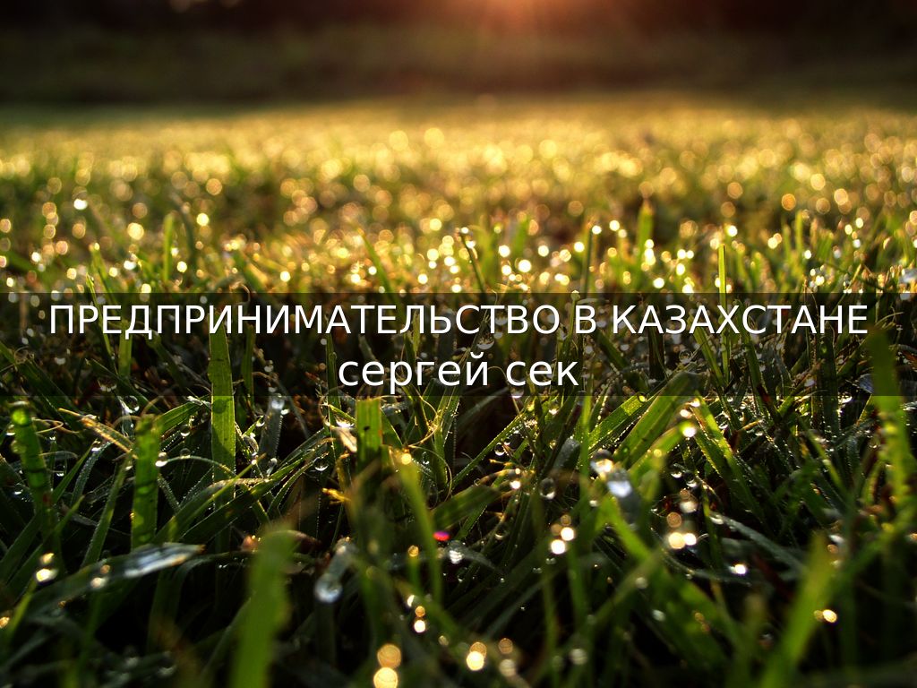 Предпринимательство в Казахстане