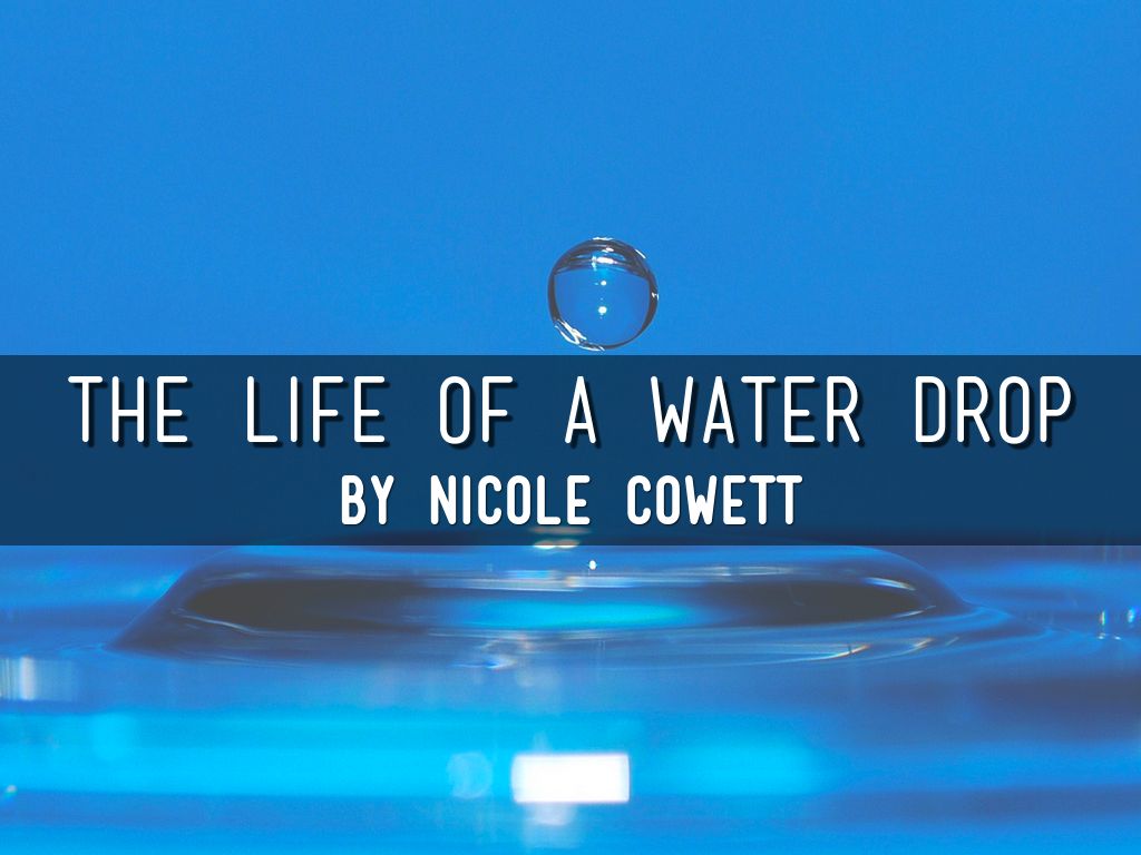 The Life of a Water Drop