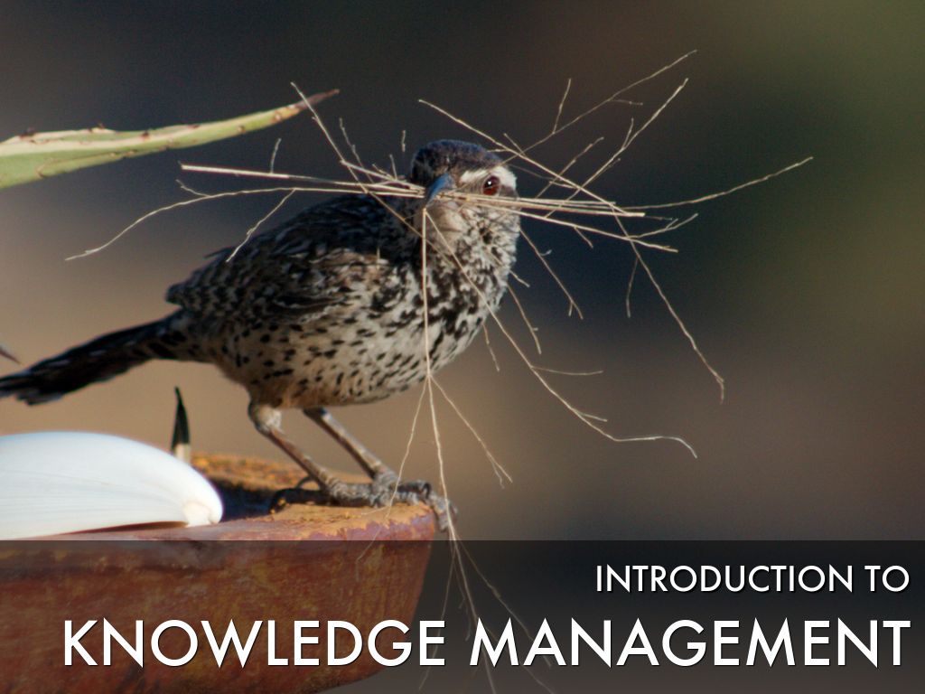 Intro to knowledge management